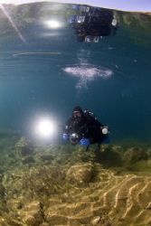 Mark in the shallows, Capernwray.
10.5mm. by Derek Haslam 
